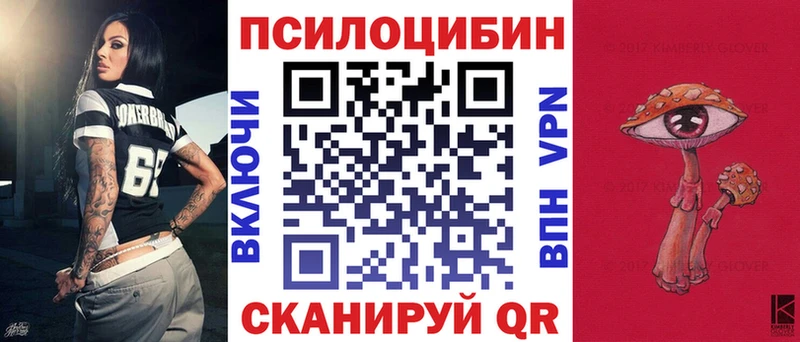 Псилоцибиновые грибы Psilocybe  Унеча 